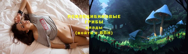 ALPHA-PVP Абинск