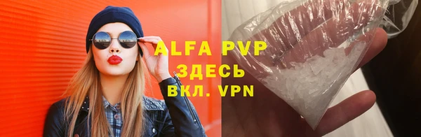 стафф Алексин