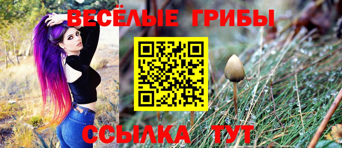 Галлюциногенные грибы GOLDEN TEACHER Златоуст